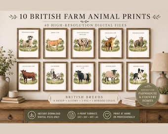 Könnte beinhalten: Eine Sammlung von 10 britischen Nutztierdrucken mit Illustrationen eines Swaledale-Schafs, einer Jersey-Kuh, eines Gloucester Old Spots-Schweins, einer Hochland-Kuh, eines Herdwick-Schafs, einer Lincoln Red-Kuh, eines Jacob-Schafs, einer Belted Galloway-Kuh, eines Suffolk-Schafs und eines Border Collies.