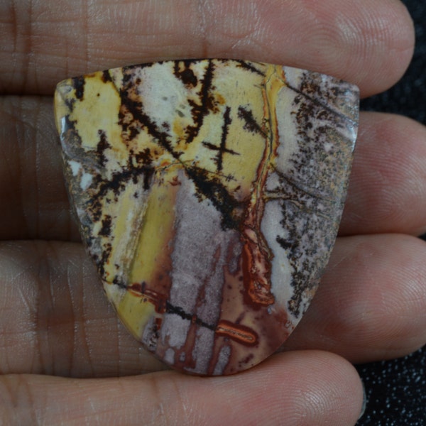 Cherry Creek Jasper Cabochon