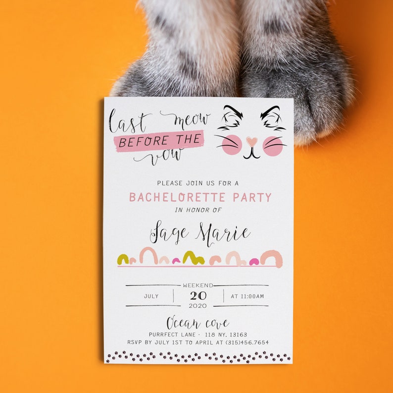 200 coriandoli a tema gatto per addio al nubilato – Decorazioni Last Meow Before The Vow, coriandoli per addio al nubilato, decorazioni da tavolo, forniture per feste a tema gatto miao
