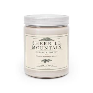 Candela di soia all'abete balsamico, candela profumata al bosco, candela sempreverde colata a mano, regalo ideale per escursioni e baite, Monti Catskill, flacone in vetro da 255 ml. immagine 2