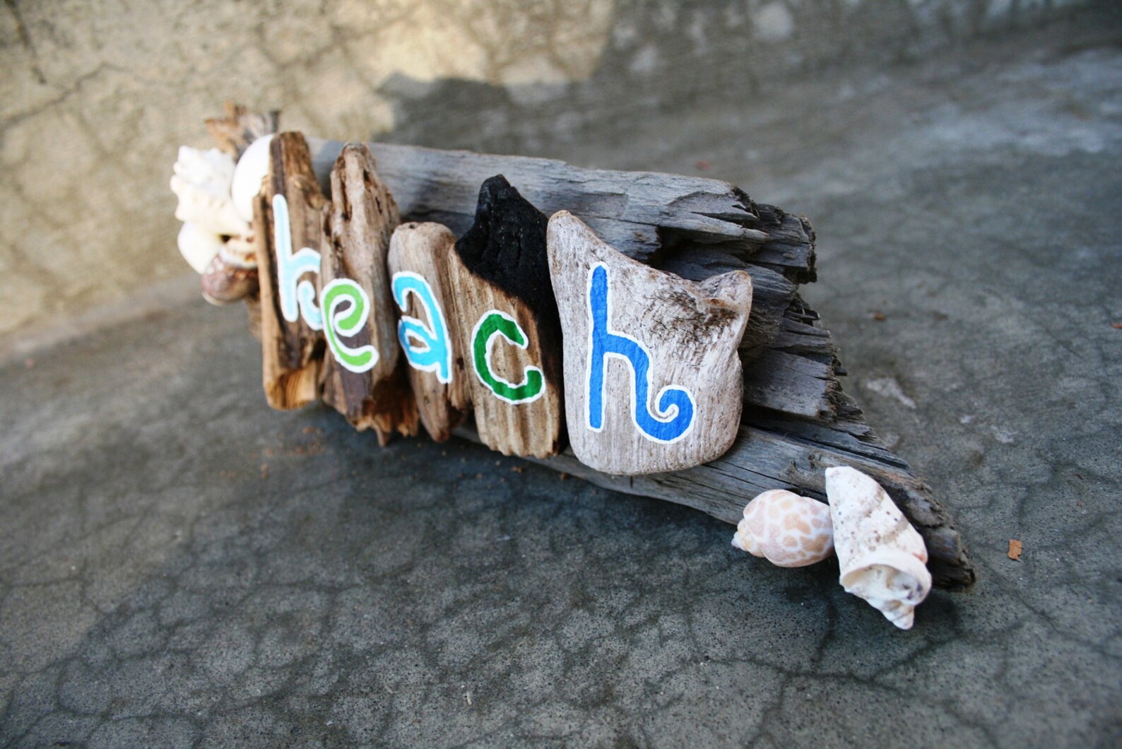Guirlande en bois flotté et coquillage : objets-deco par erland