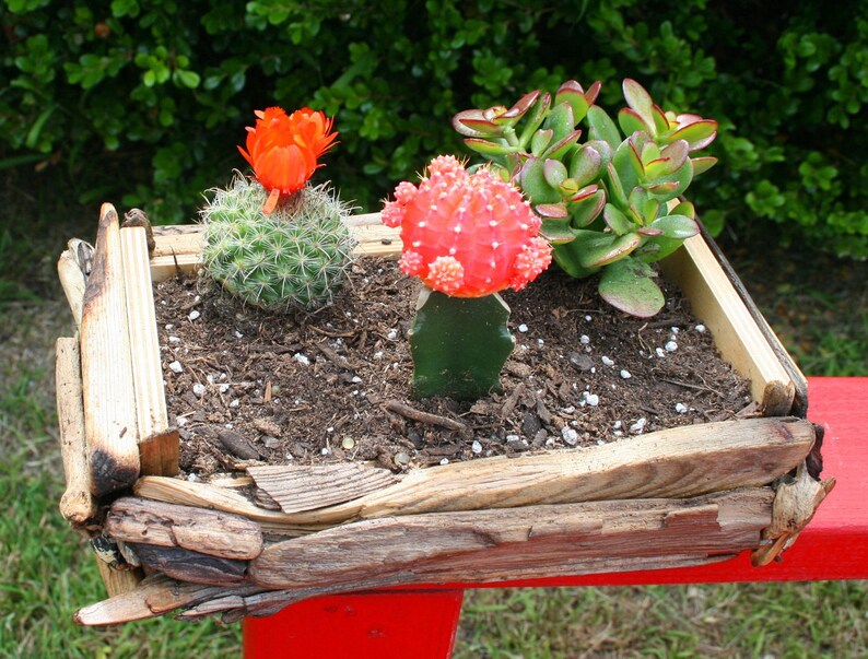 Driftwood Garden Planter Etsy