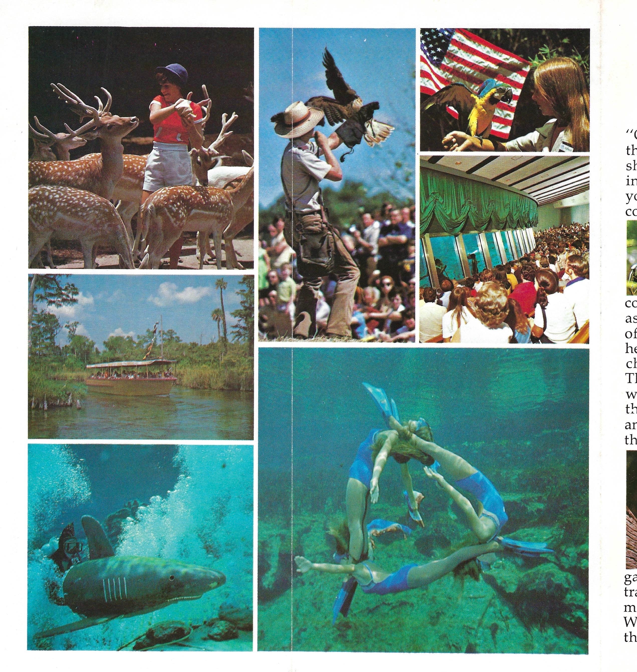 Vintage 1980s Florida's Weeki Wachee Souvenir Promotional Color