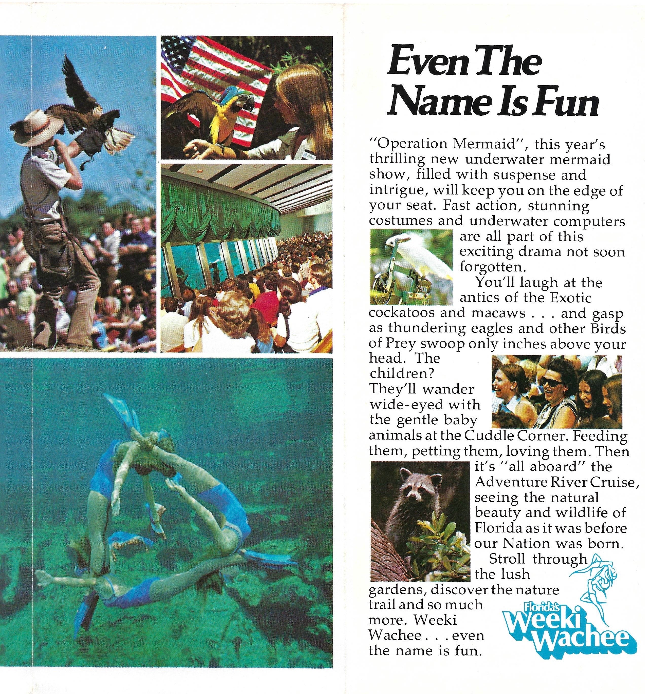 額装済/アートポスター/Weeki Wachee Spring Florida 額装済/アートポスター/Weeki Wachee Spring Florida - メルカリ