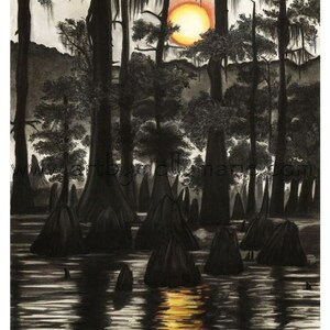 Collection of Prints of my Original Artwork of Cajun Louisiana themed drawings, Sizes 11x14 50.00 & 20x26 100.00 image 3