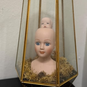 baby on the Brain – One-of-a-Kind Creepy Moss Sculpture | Gothic Terrarium Art | Vintage Doll Head Oddity | Elegant Nightmares Original