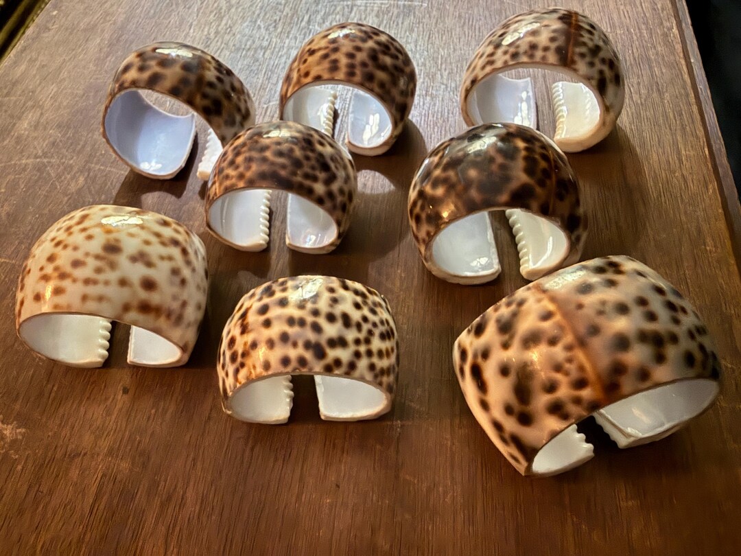 Vintage Cowrie Shell Napkin Rings – Set of 8 – Natural Coastal Boho ...