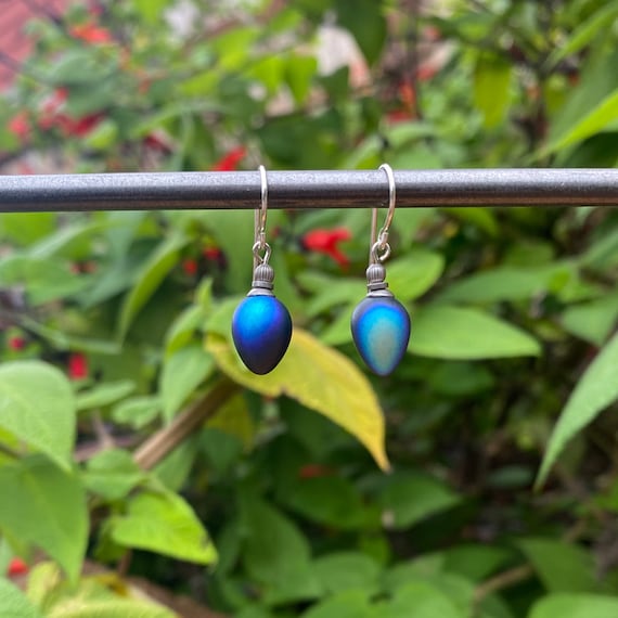 Iridescent Black Glass Drop Earrings: Sterling Silver, Frosted Jet