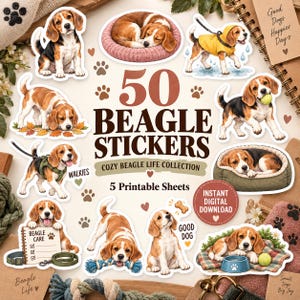 Pode incluir: Uma coleção de 50 adesivos de beagle com várias ilustrações de cães beagle em diferentes poses, incluindo dormir em camas, brincar com brinquedos e usar uma capa de chuva amarela. O texto diz 50 BEAGLE STICKERS COZY BEAGLE LIFE COLLECTION.