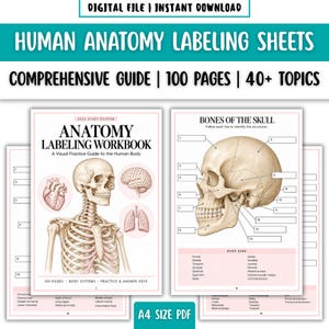 May include: Digital human anatomy labeling sheets featuring a 100-page workbook with a skull, heart, brain, and lungs. The cover displays the text Anatomy Labeling Workbook, while the interior page shows a skull with numbered lines for identification.