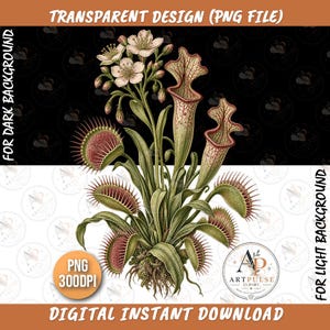 Carnivorous Plants PNG, Vintage Botanical Clipart, Venus Flytrap & Pitcher Plant, Botanical Garden Art, Nature Lover Digital Download File