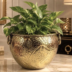 Peut inclure: Un cache-pot rond en métal doré orné d'un motif floral et végétal en relief sur toute sa surface. Le pot présente un rebord épais en forme de corde et deux anses latérales circulaires. Une plante pothos panachée verte et jaune est installée.