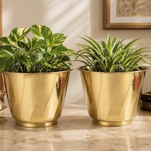 Può includere: Due vasi in metallo dorato abbinati con una sottile trama a coste diagonali. Ogni vaso presenta un bordo largo e svasato con una base stretta, contenente una pianta da interno con foglie variegate e l'altra con foglie lunghe e appuntite.