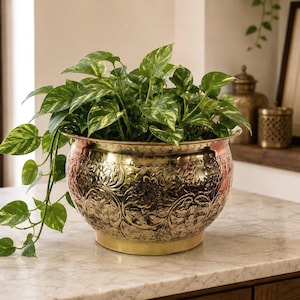 Brass Carved Planter | Plant Container| Flower Pot for Indoor/Outdoor Plant - Embossed design