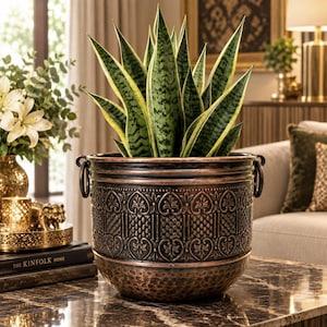 Pode incluir: Um vaso redondo de metal em tom de cobre com um padrão escuro em relevo de motivos repetitivos de corações e grelhas. O vaso tem duas pegas laterais em forma de anel e uma textura martelada na parte inferior, contendo uma sansevieria.