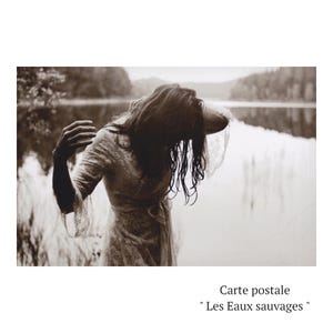 Carte postale ' Les Eaux Sauvages'