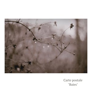 Carte postale 'Baies'