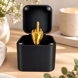 Pode incluir: Uma caixa de armazenamento quadrada em preto mate com tampa articulada. Dentro do recipiente aberto, uma escultura de mão em metal dourado está posicionada no centro, com o dedo médio estendido para cima num gesto de desafio interior.