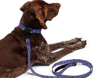 Phish Donut Pet Collar & Leash Set, Purple and Green