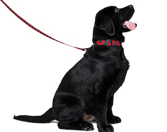 Phish Donut Pet Collar & Leash Set, Red and Blue Donuts