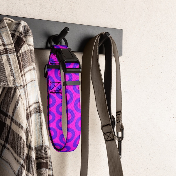 Phish Donuts Pet Collar, Iconic Band Design
