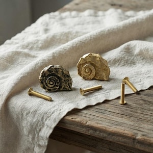 May include: Two metallic cabinet knobs shaped like spiral seashells, one with a dark antique finish and one with a bright gold finish. Each knob is accompanied by a matching threaded metal screw for installation, displaying a textured surface.