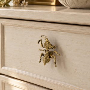May include: A brass-toned metal cabinet knob shaped like a praying mantis insect, featuring a textured surface and detailed legs, mounted on a light-colored wooden drawer front with a visible grain pattern and a rectangular frame design.