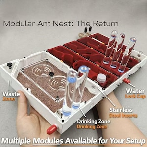 May include: A white modular ant nest with red interior chambers, clear acrylic covers, and multiple glass test tubes. The unit features labelled sections including a waste zone, drinking zone, water lock cap, and stainless steel inserts.
