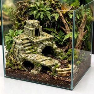 May include: A square glass terrarium containing a miniature stone-coloured temple structure with stairs and an arched opening. The scene is decorated with green ferns, moss, and a piece of driftwood, all set within a dark soil substrate.