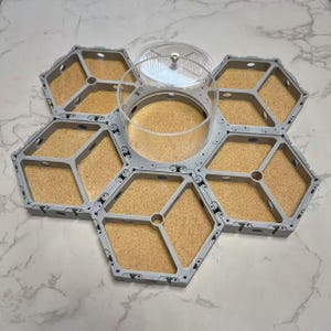 Op de afbeelding: Een modulair displaysysteem met vijf verbonden zeshoekige grijze frames met kurkinzetstukken, gerangschikt in een bloemachtig patroon rond een centrale ronde doorzichtige acrylcontainer met een bijpassend deksel.