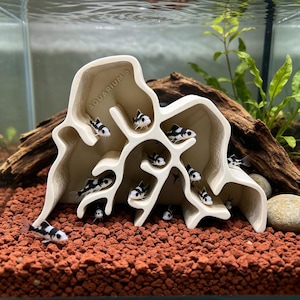 Könnte beinhalten: Ein beigefarbenes Aquarium-Versteck mit mehreren Kammern und dem eingeprägten Text "AQUARIUM S" auf der Oberfläche. Mehrere kleine, schwarz-weiß gemusterte Fische schwimmen umher und ruhen in den verschiedenen Öffnungen dieser strukturierten Höhle.