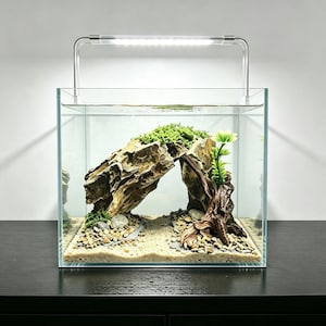 Puede incluir: Un acuario de cristal cuadrado con sustrato de arena clara, una gran formación rocosa texturizada con musgo verde, un trozo de madera flotante oscura y una pequeña planta artificial verde, coronado con una luz LED plateada.