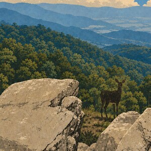 Op de afbeelding: Een poster met een landschap van de Shenandoah-bergen met blauwe bergkammen, groene bossen en een heldere lucht met witte wolken. Op de voorgrond omlijsten grote beige rotsen een donkerbruin hert op een met gras begroeide richel.