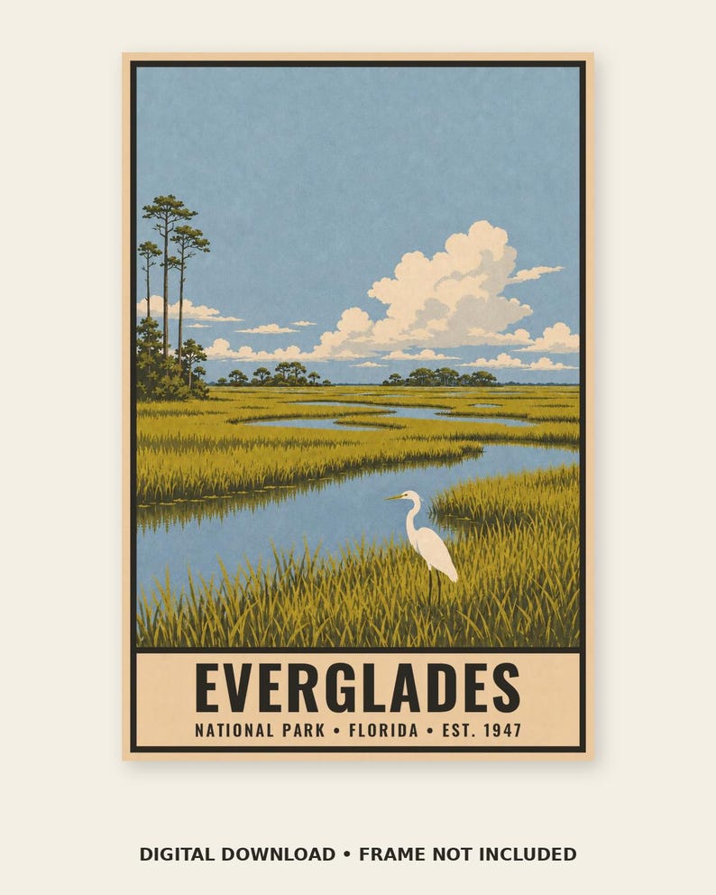 Pu&ograve; includere: Un poster verticale raffigurante un paesaggio delle Everglades con un'egretta bianca nell'erba alta verde vicino a un corso d'acqua blu serpeggiante. Il cielo &egrave; azzurro con nuvole bianche. Il testo recita: EVERGLADES NATIONAL PARK FLORIDA EST. 1947.