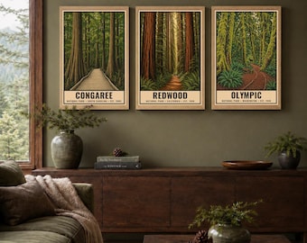 Zestaw 3 plakatów ściennych z motywem lasu, Park Narodowy, Congaree, Redwood Olympic, Zielony Las, Galeria Ścienna do Druku