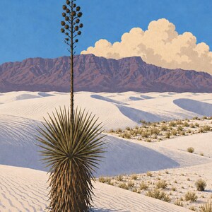 May include: A tall, spiky yucca plant with a long central stalk stands in a desert landscape of white sand dunes. In the background, a range of dark, rugged mountains sits under a bright blue sky with large, fluffy, cream-colored clouds.