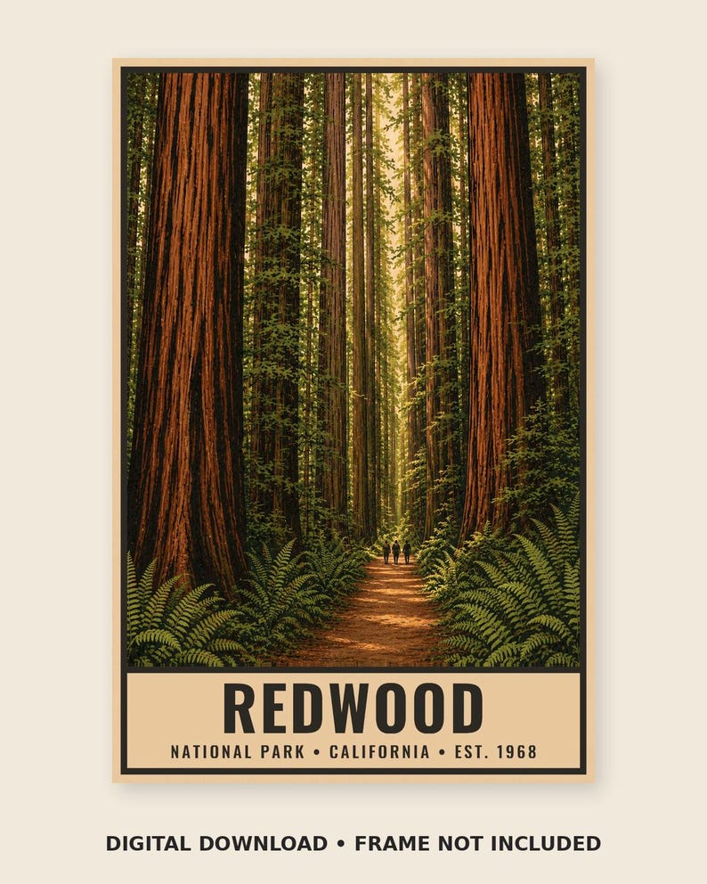 May include: A vertical poster featuring a path through a dense redwood forest with tall, textured brown tree trunks and green ferns. The text at the bottom reads REDWOOD NATIONAL PARK CALIFORNIA EST. 1968. The design includes a light border.