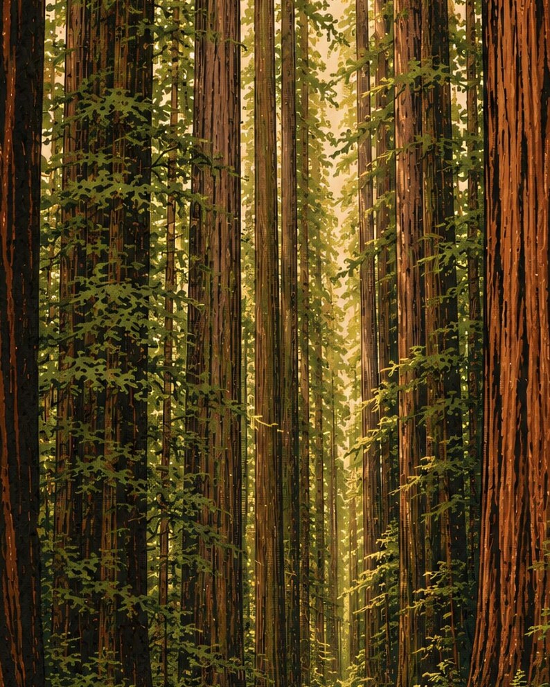 May include: A dense forest of towering redwood trees with thick, vertically textured reddish-brown bark and vibrant green foliage. The tall, straight trunks create a repeating pattern that recedes into a soft, golden-lit background.