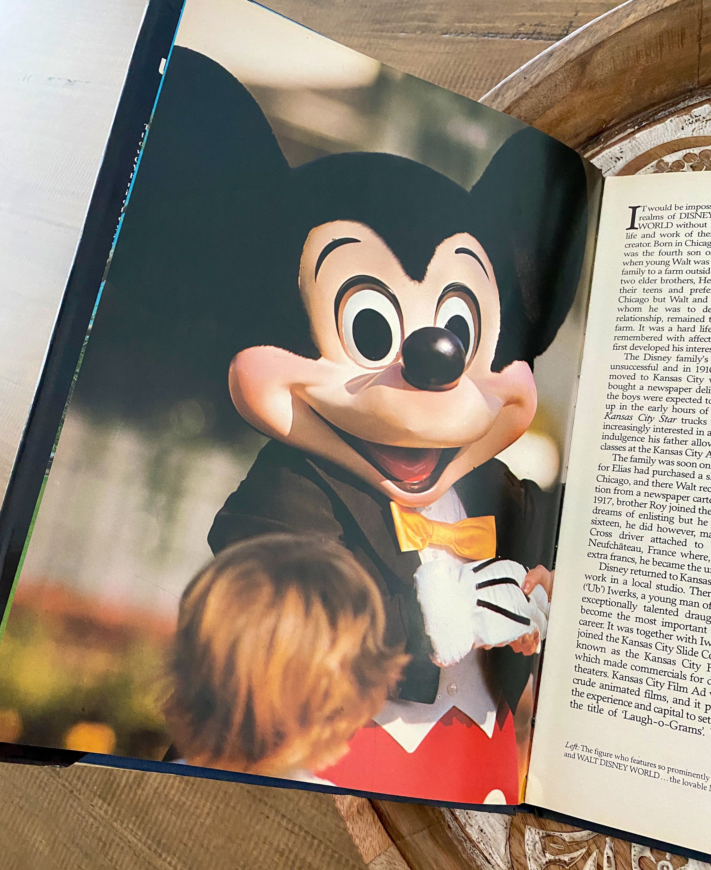 Vintage 1979 the Magic of Disneyland & Walt Disney World