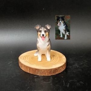 Op de afbeelding: Een handbeschilderd beeldje van een driekleurige Australian Shepherd hond zittend op een ronde houten schijf met zichtbare jaarringen. De hond heeft zwart, wit en bruinachtig haar, bruine ogen en een roze tong. Een kleine foto is bijgevoegd.