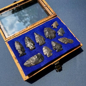 May include: A rectangular wooden display case with a glass lid containing ten black stone arrowheads arranged on a bright blue felt lining. The arrowheads vary in size and shape, each featuring serrated edges and pointed tips, secured within the box.