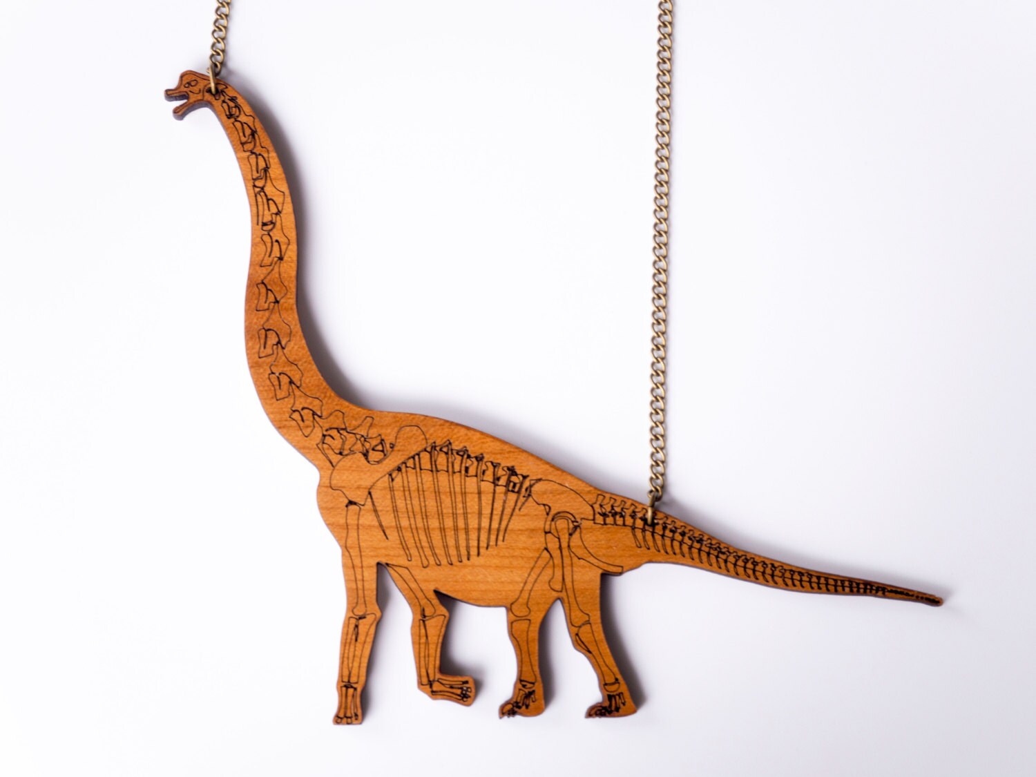 brachiosaurus fossil for sale