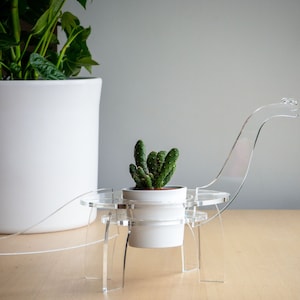 May include: A clear acrylic dinosaur-shaped plant stand with a small potted cactus plant. The stand has a long neck and tail, and the cactus is in a white pot.