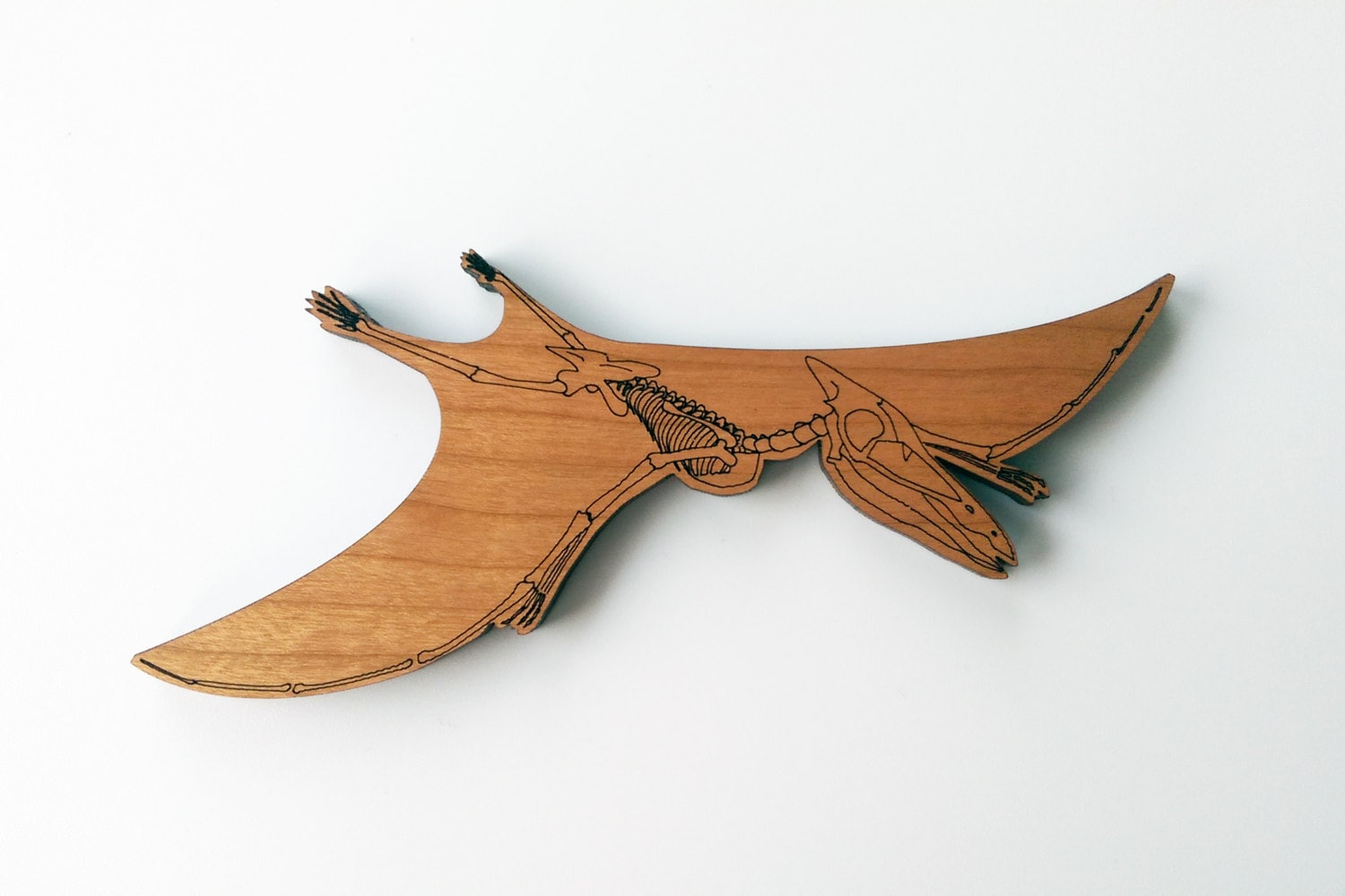 Pterodactyl dinosaur wall hanging Etsy
