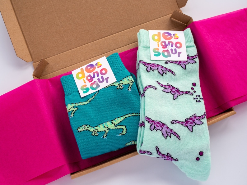 Two pairs of socks dinosaur socks image 10