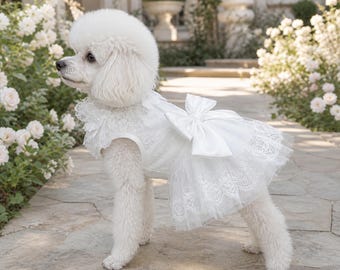 Weißes Hochzeitskleid für Haustiere mit abnehmbarer Schleppe, Brautkleid aus Spitze für Hunde, Blumenmädchen-Outfit für Katzen, luxuriöses, maßgefertigtes Fotokleid