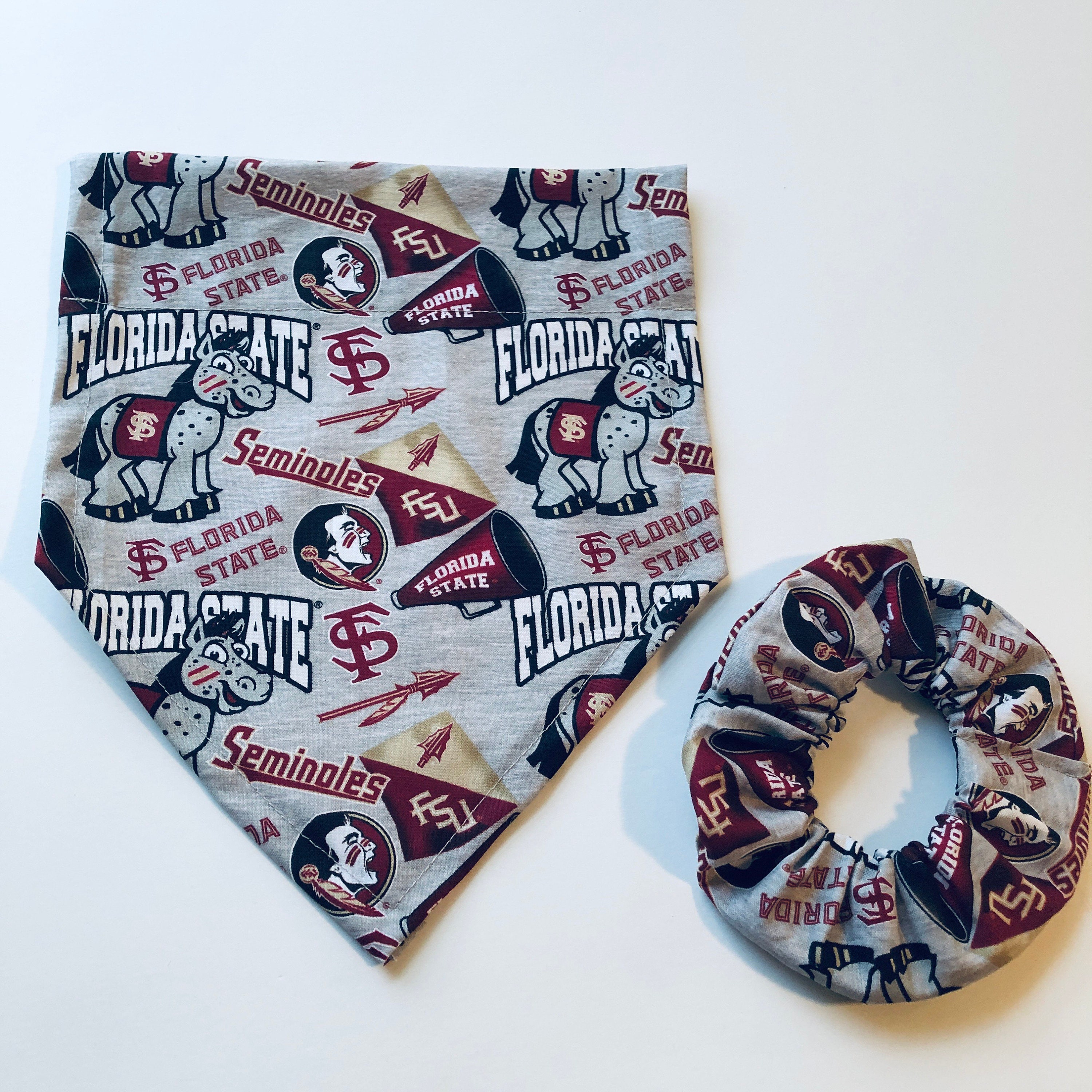 dog bandana and scrunchie set