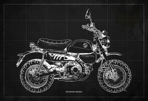 Honda sales monkey drawing