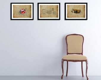 DUCATI, Set of 3 Prints, 11.5x16, Original Drawings Prints, 1973, 2007, 2013
