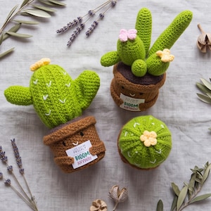 Pode incluir: Três cactos de crochê em vasos marrons com rostos sorridentes. Dois cactos têm detalhes costurados em branco e flores amarelas, enquanto o terceiro tem flores rosas e amarelas. Dois vasos seguram cartões brancos com o texto Life can be prickly, bloom anyway.